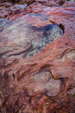 Island Rockpools