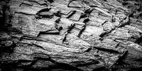 Slate like rocks in the Arctic.