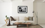 Living room with a closeup view of Gerbera in black and white.